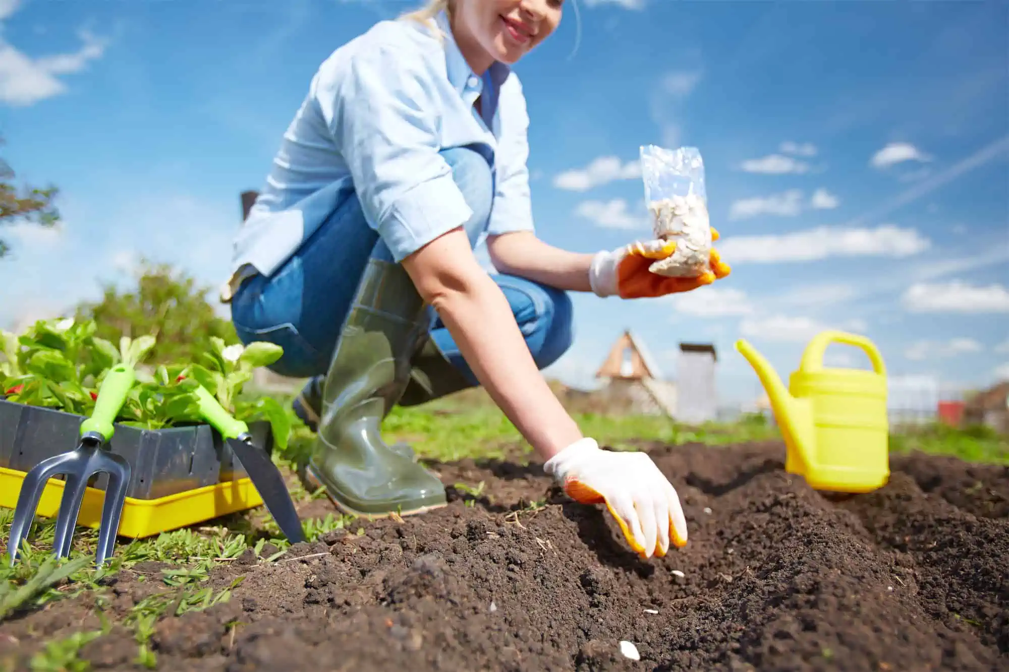 DiggingDeep_PlantingWithAPurpose-web DiggingDeep_PlantingWithAPurpose-web